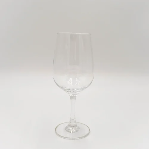 3104-schott-zwiesel-congresso-vizes-317-ml-2