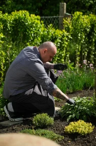 Zsolték egyik szakácsa friss alapanyagot szed az Udvar kertjében